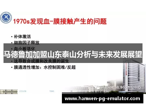 马德鲁加加盟山东泰山分析与未来发展展望