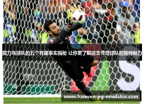 魔力鸟球队的五个有趣事实揭秘 让你更了解这支传奇球队的独特魅力