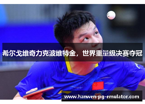 希尔戈维奇力克波维特金，世界重量级决赛夺冠